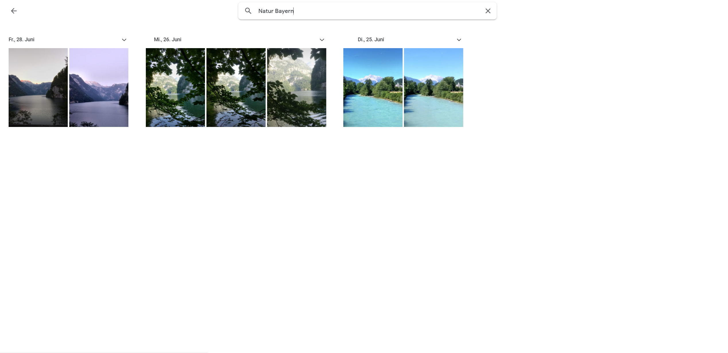 Ergebnisse einer Suche in Google Fotos nach Natur und Bayern